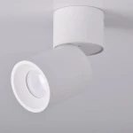 Biała lampa sufitowa Astra w formie pojedynczego spotu, z cylindrycznym kloszem skierowanym w dół. Wykonana z matowego materiału, montowana na suficie, z widoczną żarówką w środku. Prosta forma, idealna do nowoczesnych wnętrz.