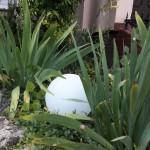 Lampa ogrodowa Cumulus S w białym kolorze, w kształcie kuli, umieszczona wśród zielonych roślin. Widok z boku, zbliżony do ziemi, ukazujący lampę otoczoną liśćmi i kwiatami, tworząc harmonijną aranżację w ogrodzie.